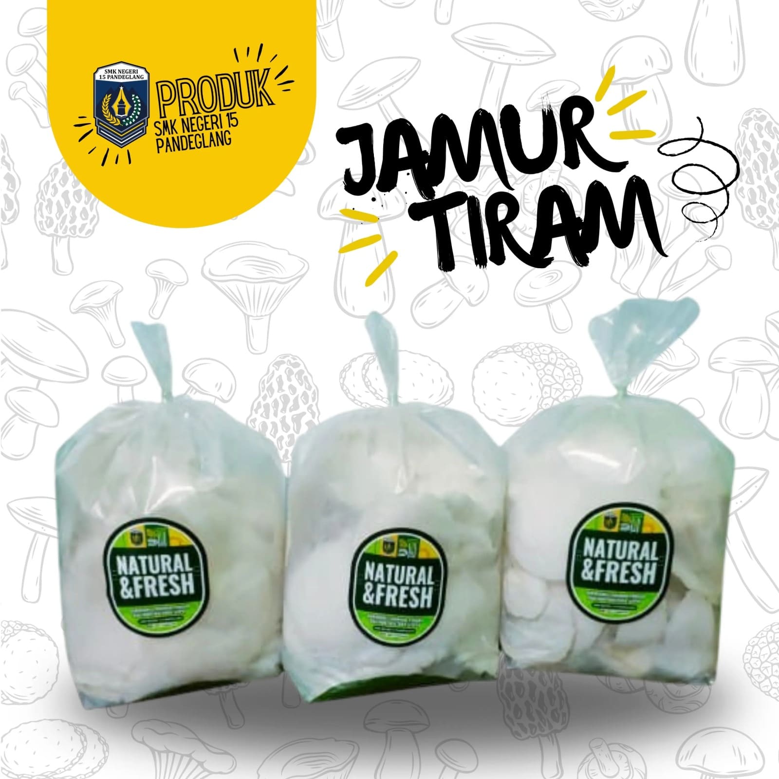 Jamur Tiram